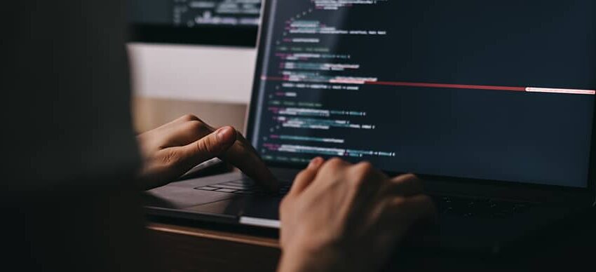 Freelance WordPress Developer